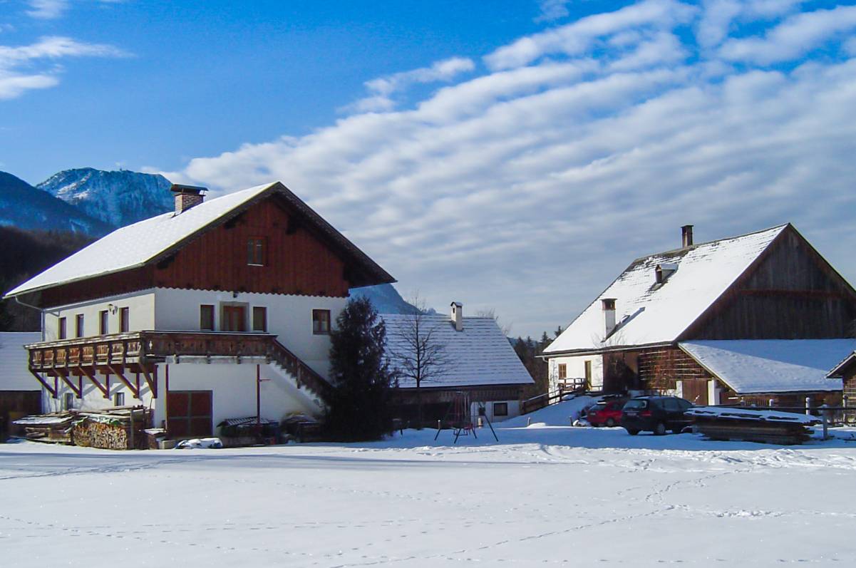 Ferienhaus Winter